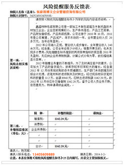 雷州税务服务
